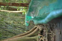  2007-12-10 15.06.00.JPG 
